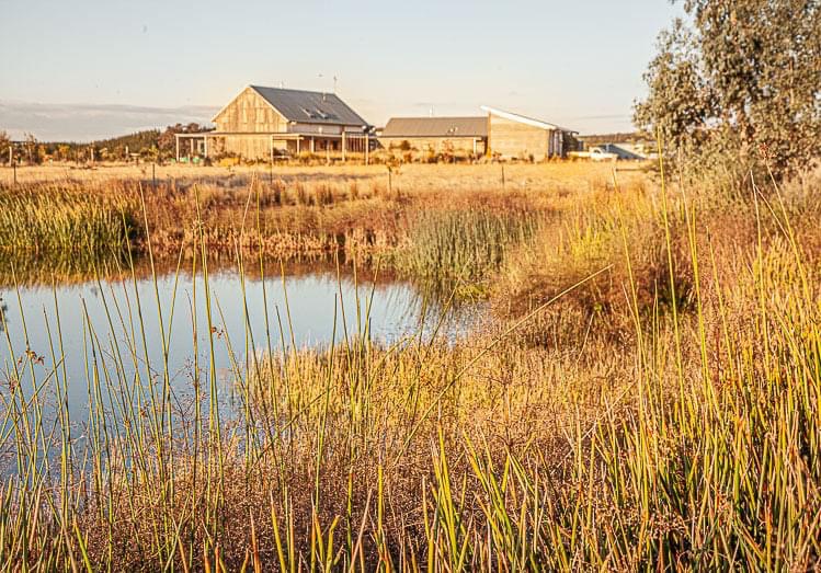 NatureBuild | Sustainable Building in Harmony with Nature