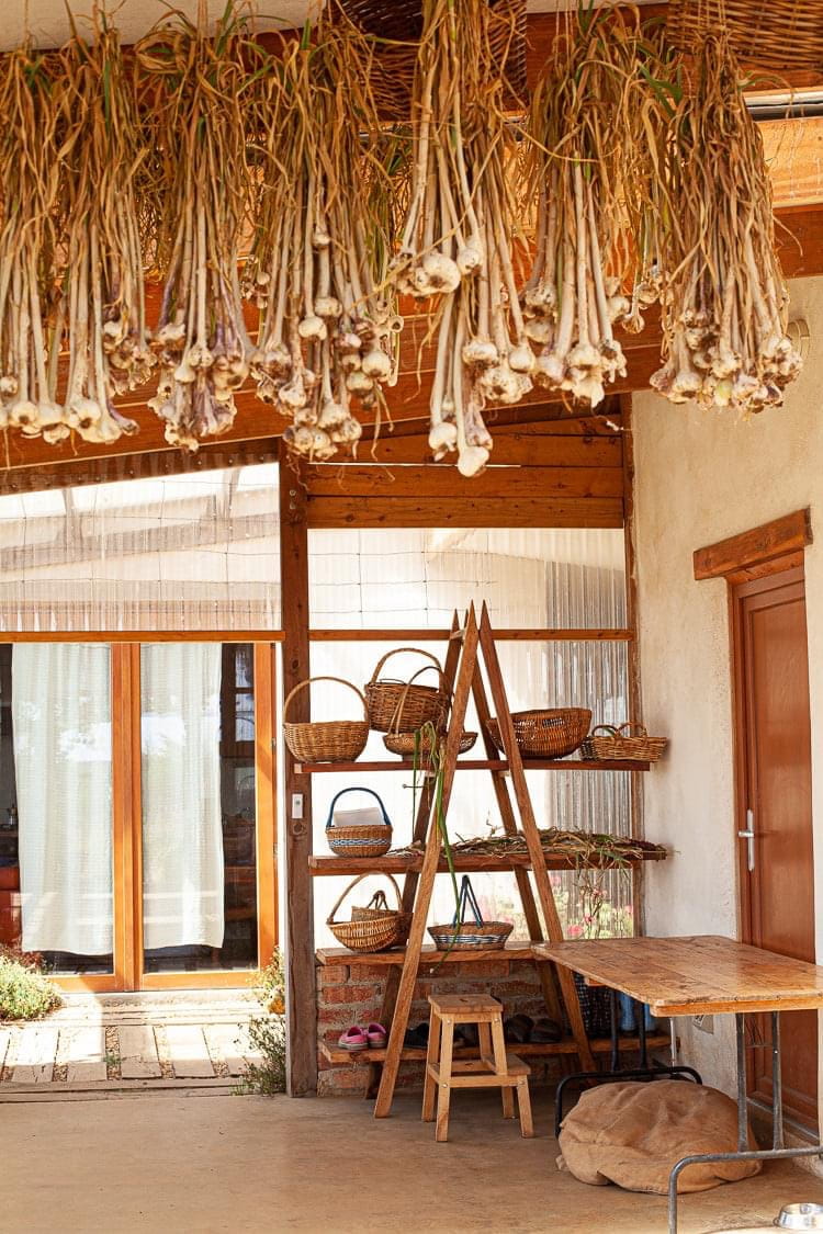 Garlic hanging to dry in the flywire-enclosed food preparation room beside the kitchen